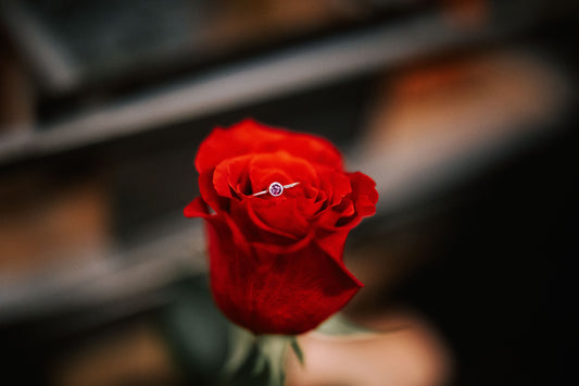 Anell ROSA 26