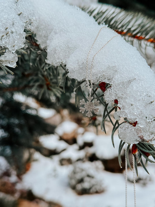 Penjoll FLOC ❄ GRAN