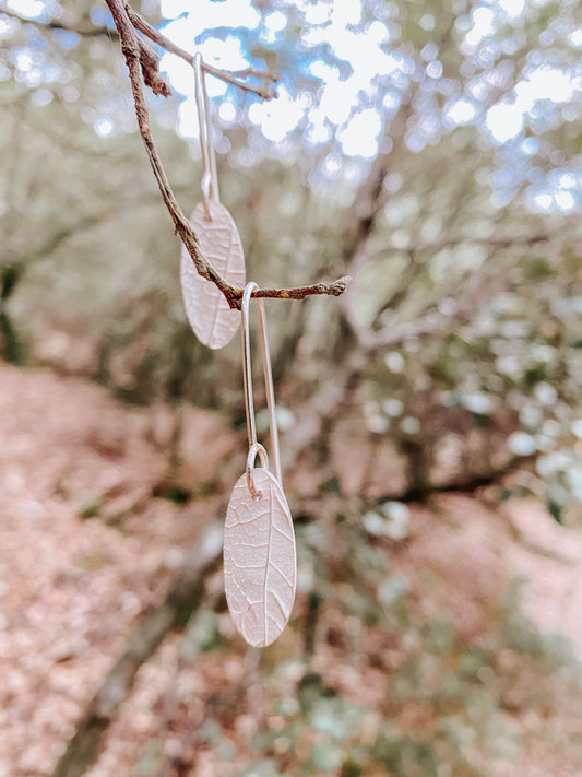 Arracades llargues TARDOR