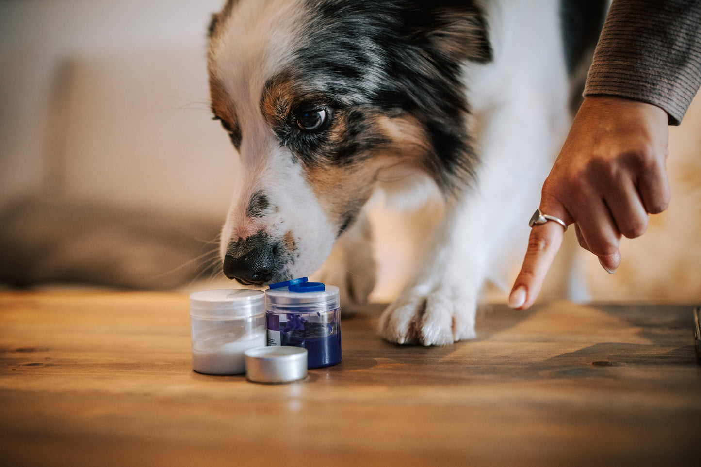 Penjoll T'E - PELUDET