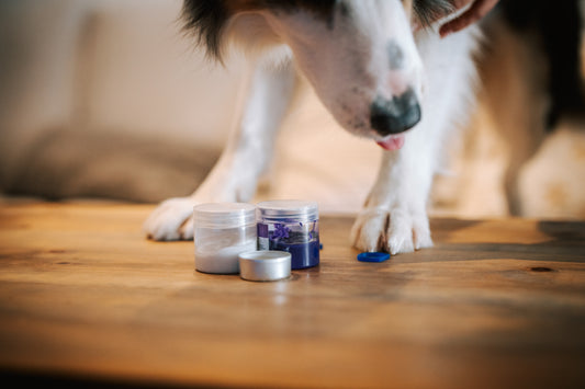 Penjoll T'E - PELUDET