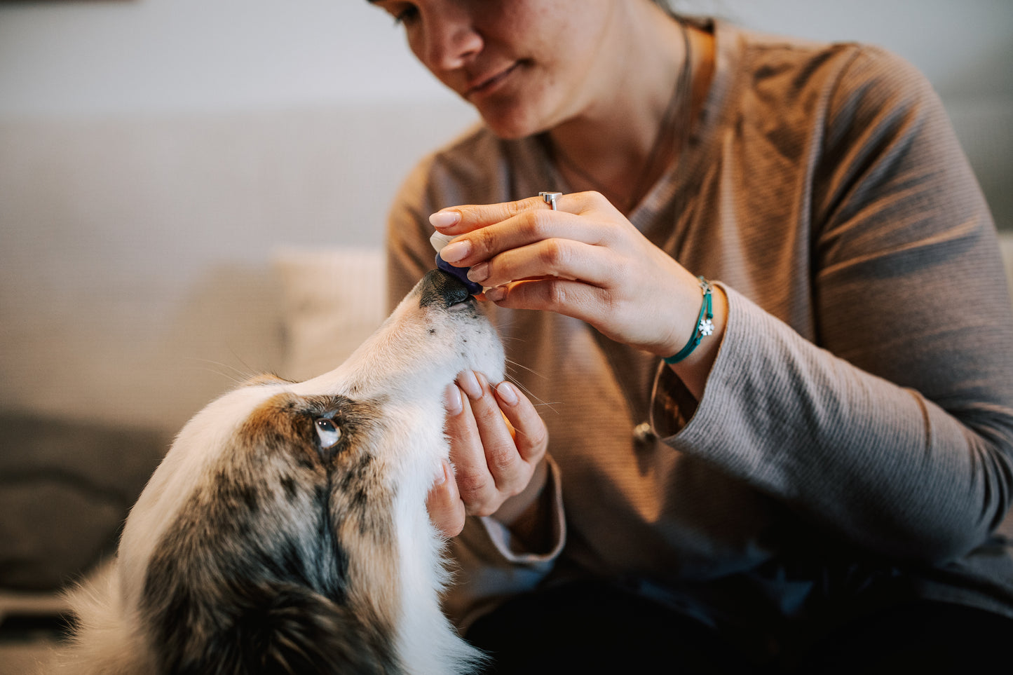 Penjoll T'E - PELUDET