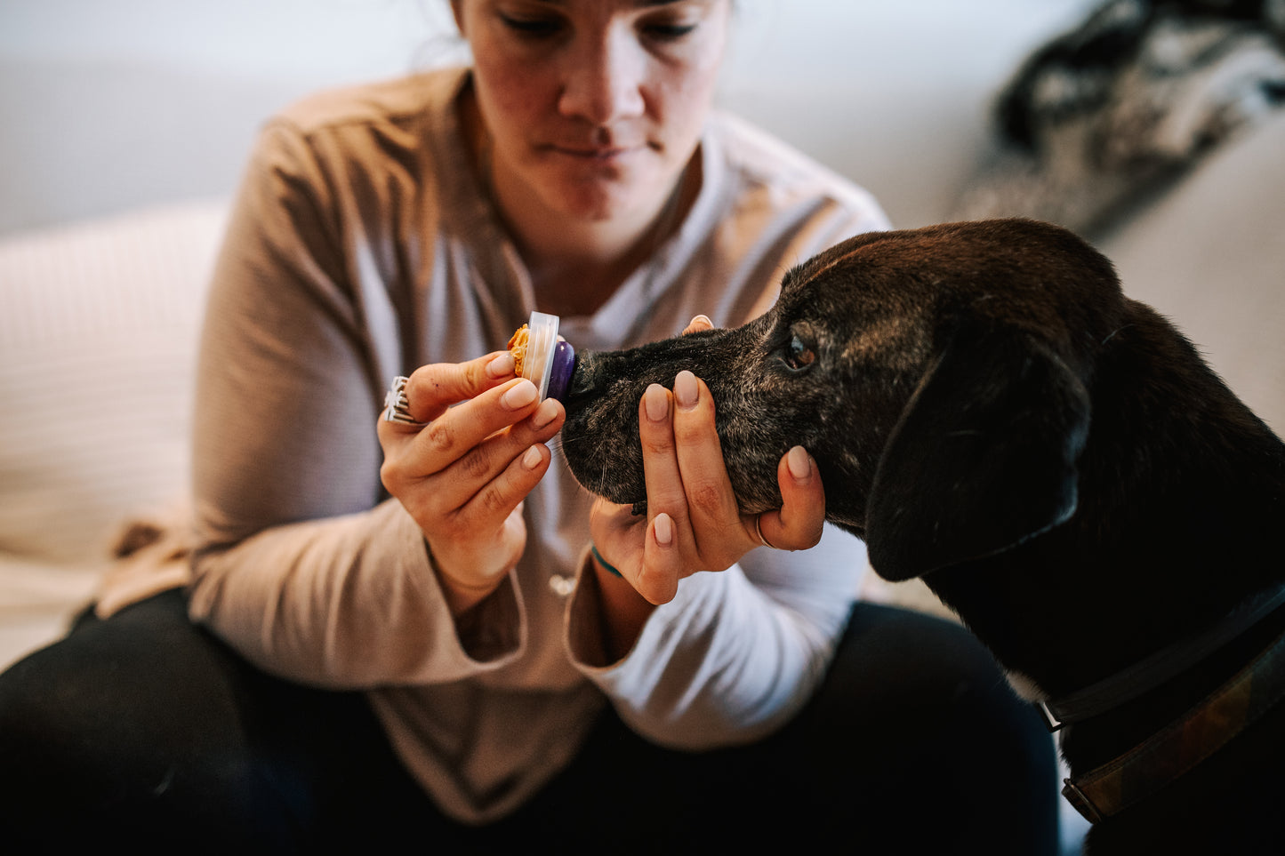 Penjoll T'E - PELUDET