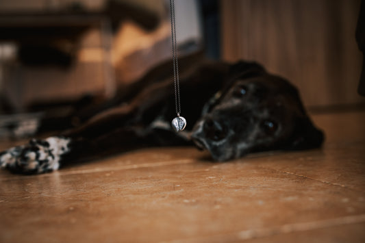 Penjoll T'E - PELUDET