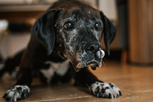 Penjoll T'E - PELUDET