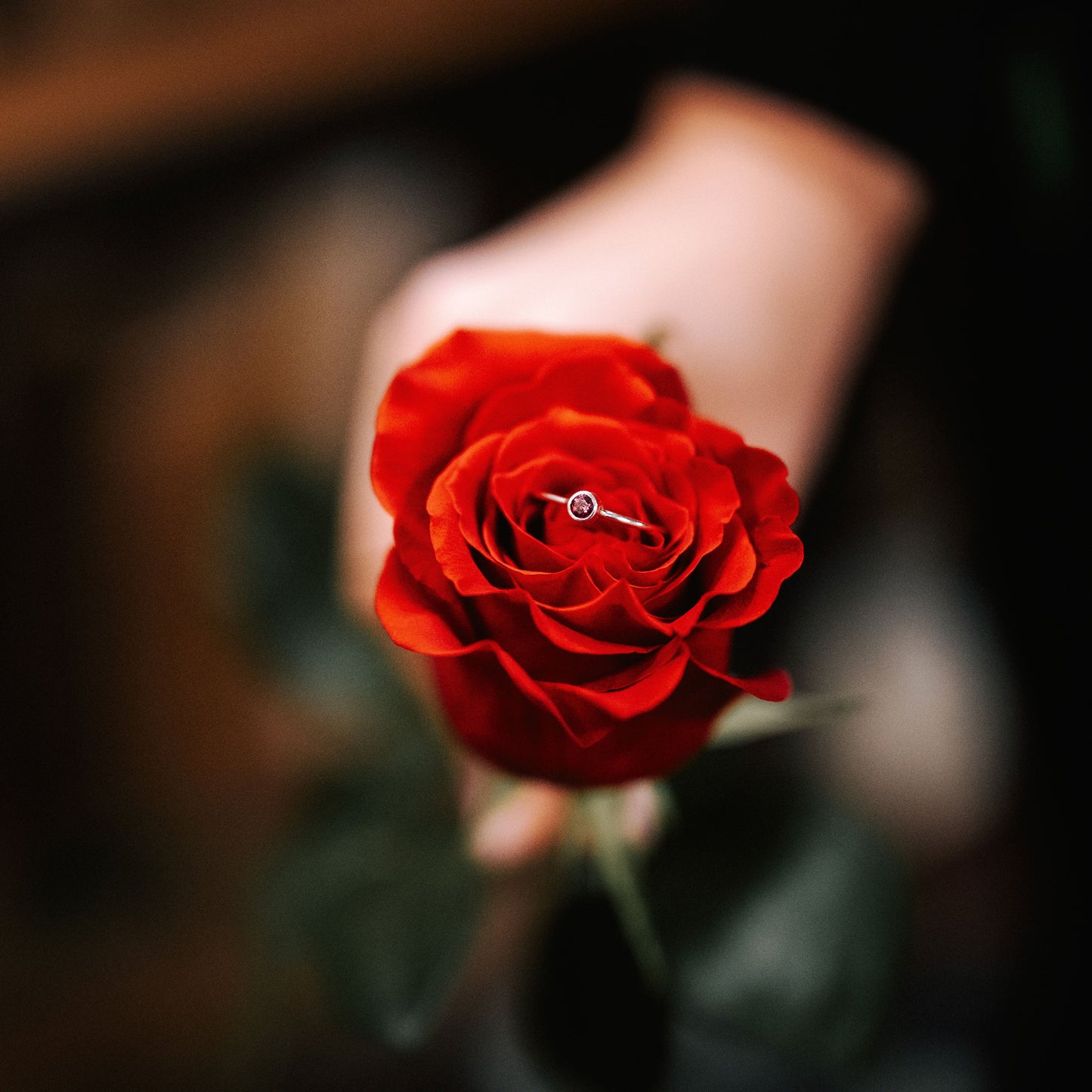 Anell ROSA 26