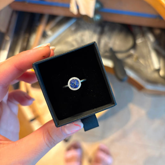 Anell MAR · Anillo MAR