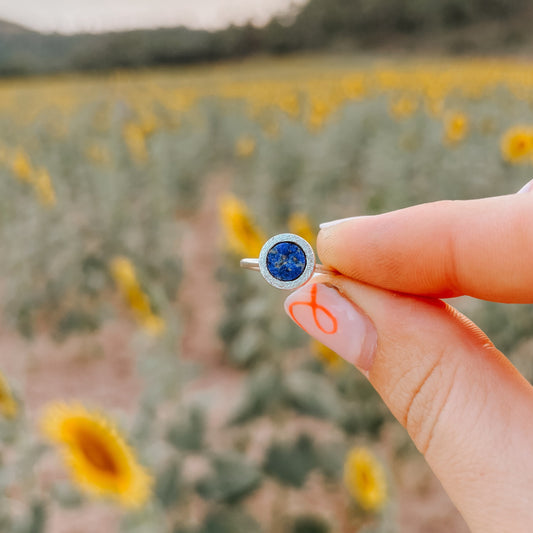 Anell MAR · Anillo MAR