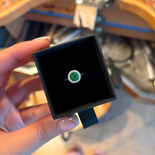 Anell MOLSA· Anillo MUSGO