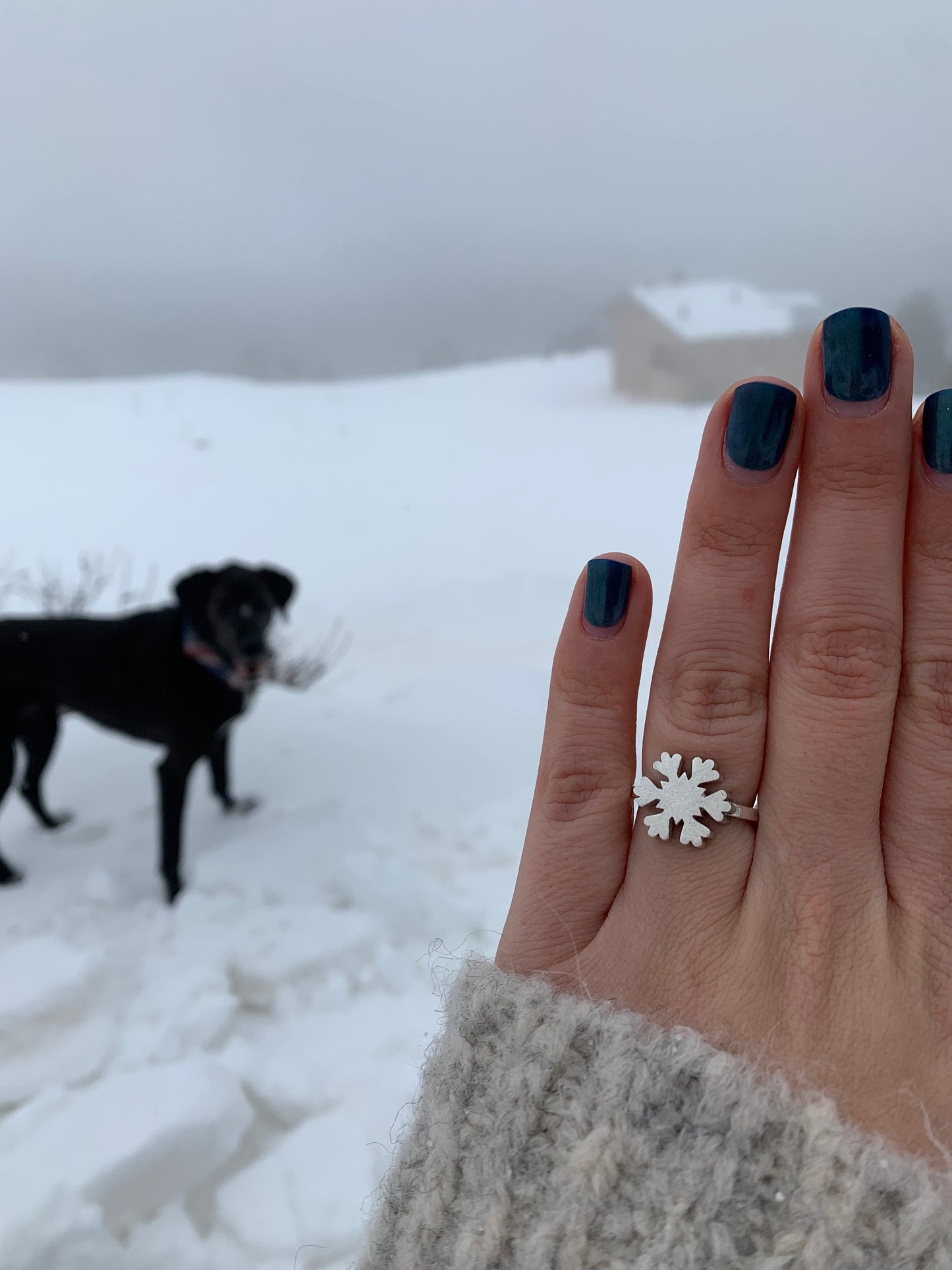 Anillo COPO de nieve · GRANDE