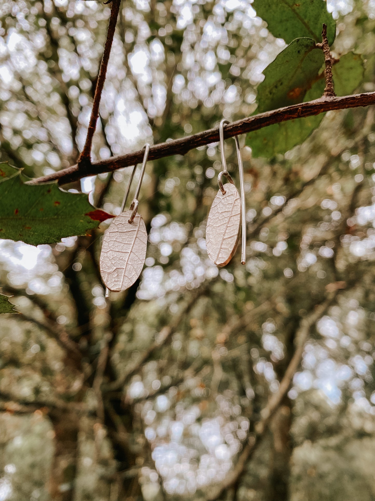 Arracades llargues TARDOR